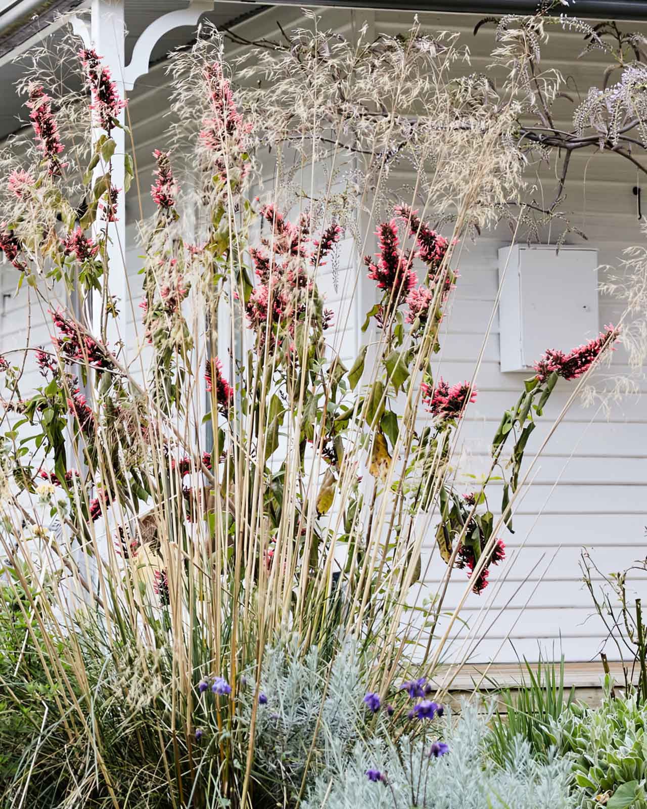 Little Oak Boutique Airbnb Southern Tasmania